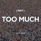 (way) too much